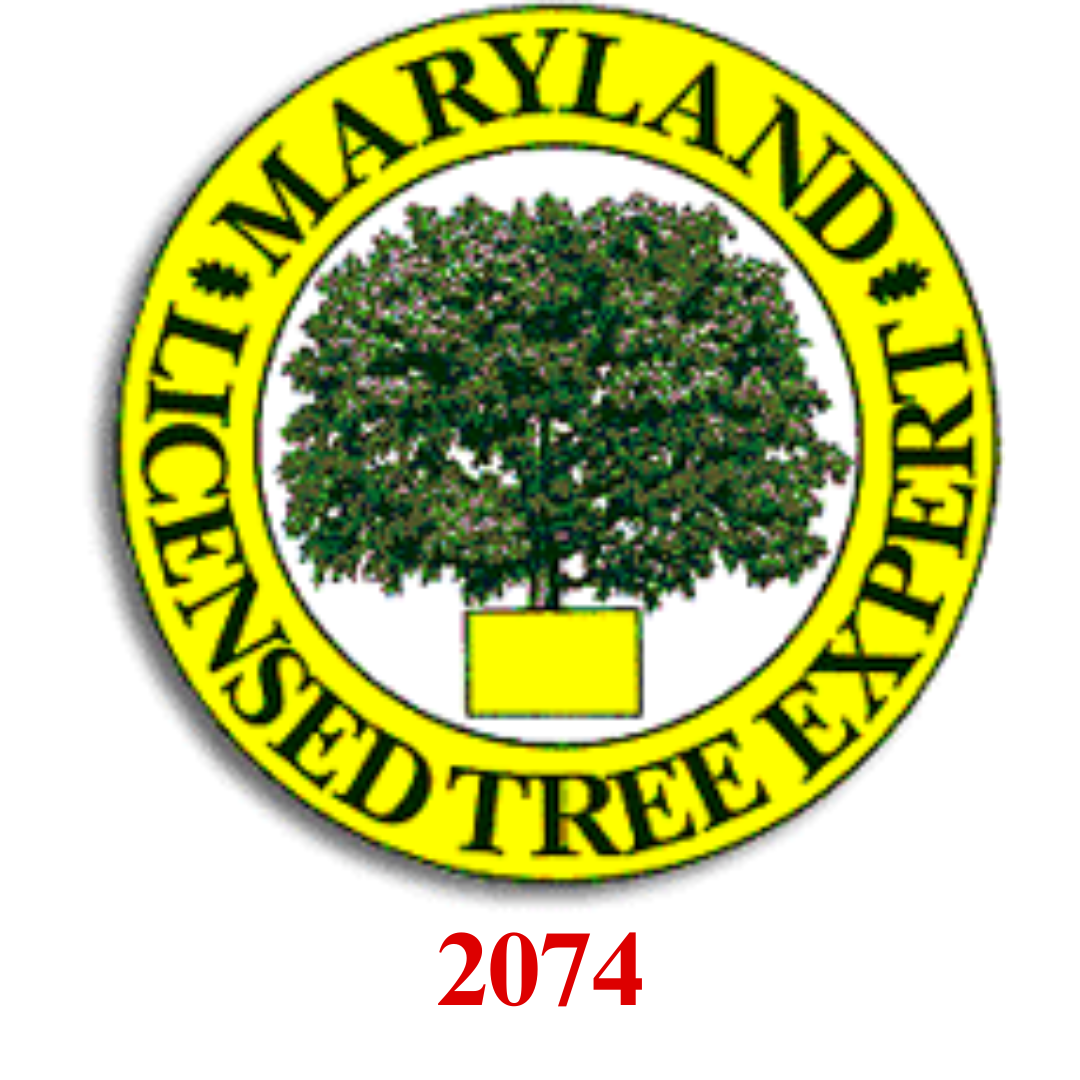 ISA Certified Arborist badge